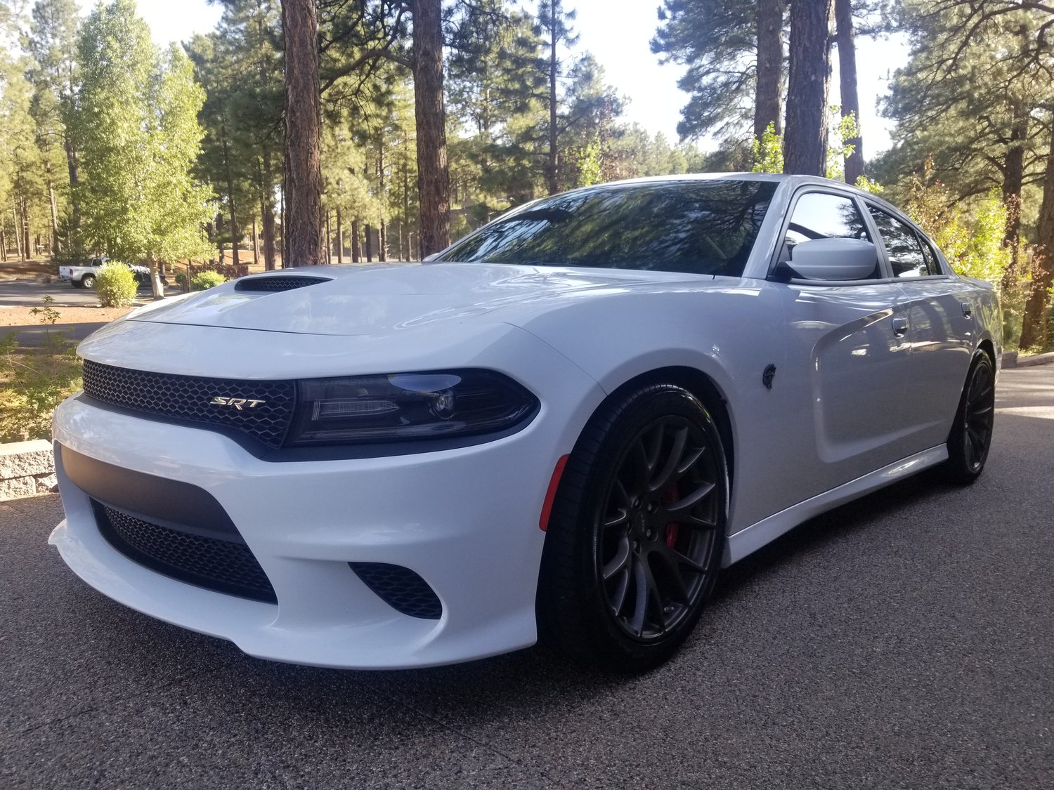 Detailing Services in Flagstaff