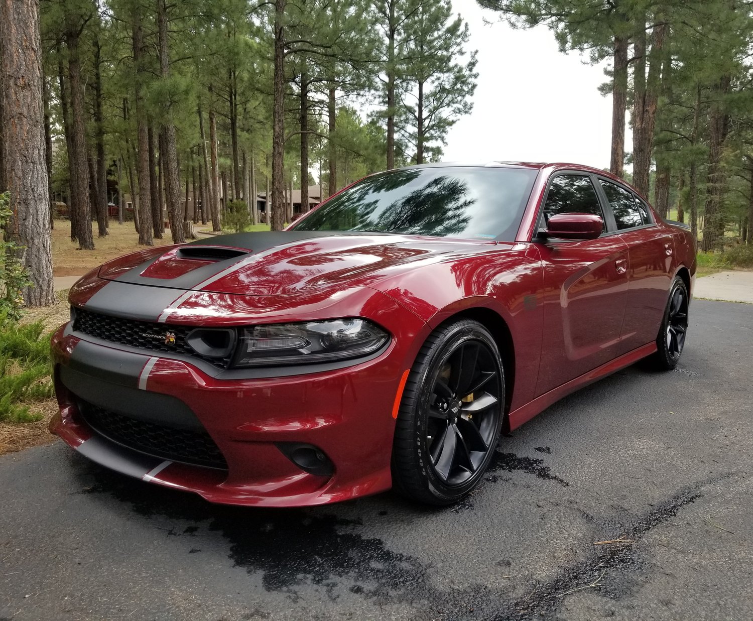 Detailing Services in Flagstaff